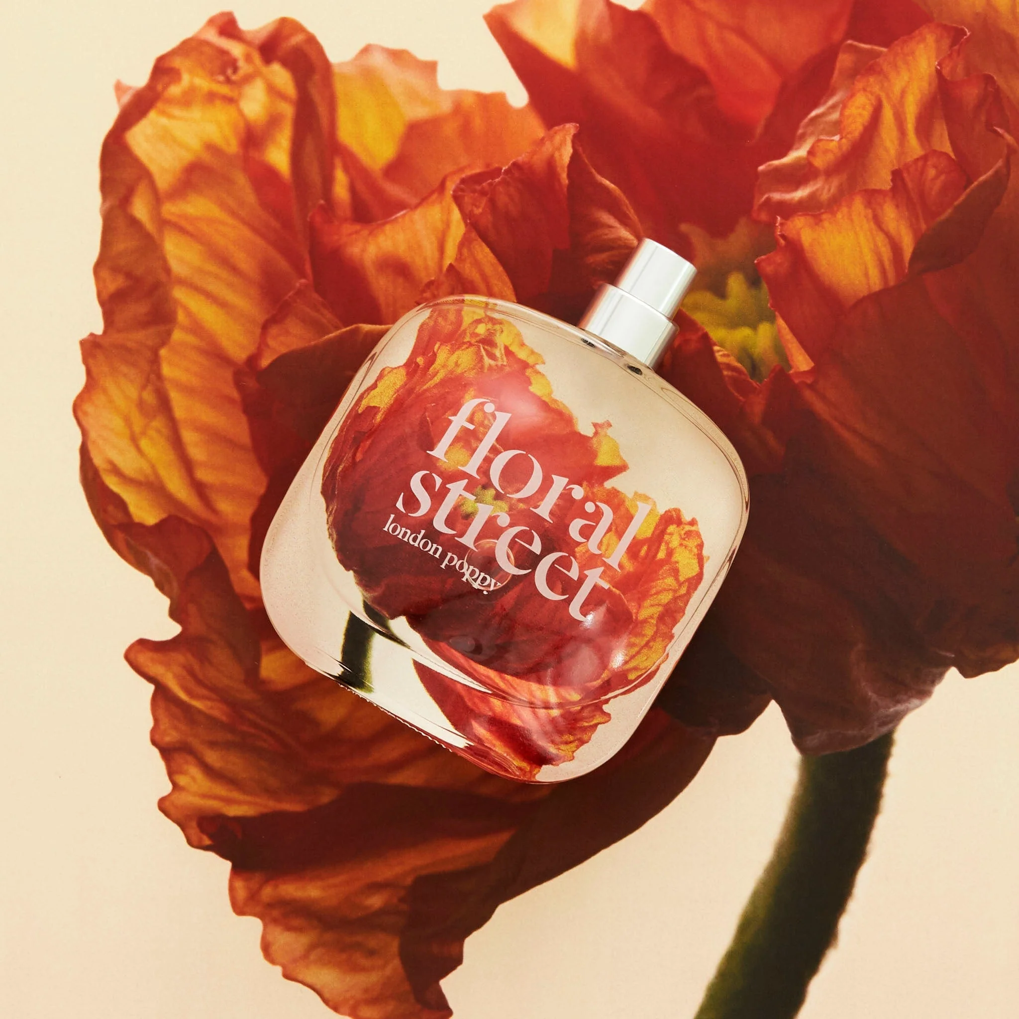 London Poppy Eau de Parfum - Image 6